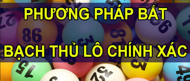 Phương pháp bắt bạch thủ lô dễ dàng